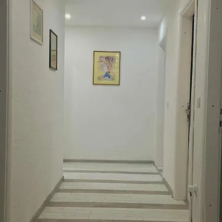 Daire Archy Saraybosna